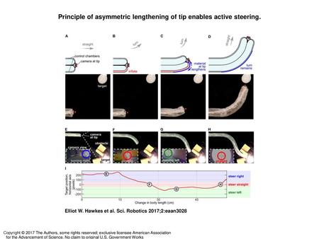 Principle of asymmetric lengthening of tip enables active steering.