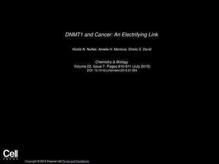 DNMT1 and Cancer: An Electrifying Link