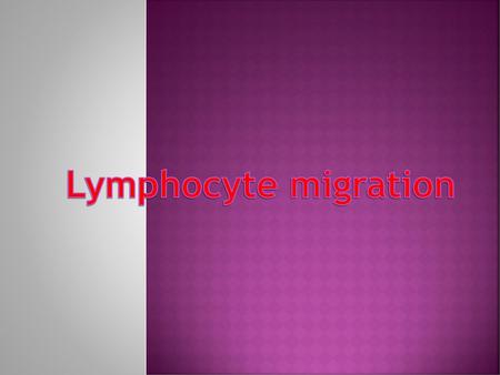 Lymphocyte migration.