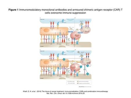Figure 1 Immunomodulatory monoclonal antibodies and armoured chimeric antigen receptor (CAR) T cells overcome immune suppression Figure 1 | Immunomodulatory.
