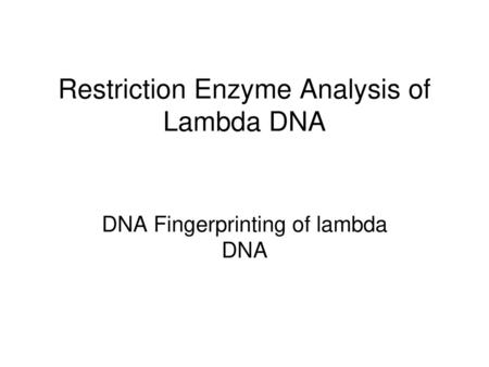 Restriction Digestion And Analysis Of Lambda Dna Ppt Video Online Download