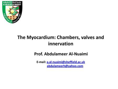 The Myocardium: Chambers, valves and