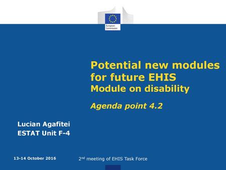 Potential new modules for future EHIS Module on disability