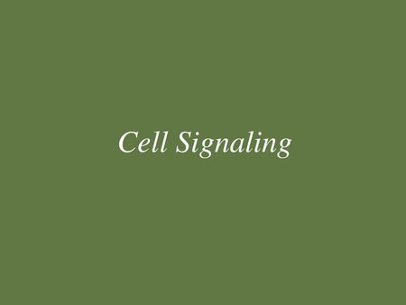 Cell Signaling.