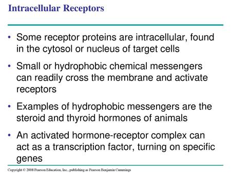 Intracellular Receptors