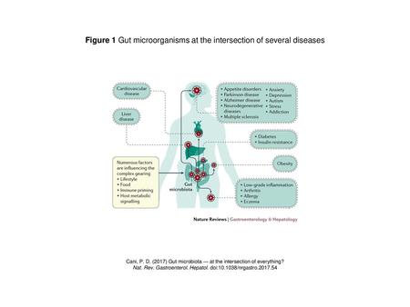 Figure 1 Gut microorganisms at the intersection of several diseases