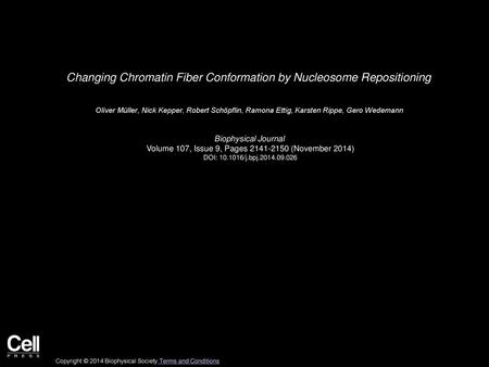 Changing Chromatin Fiber Conformation by Nucleosome Repositioning
