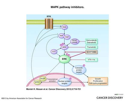 MAPK pathway inhibitors.