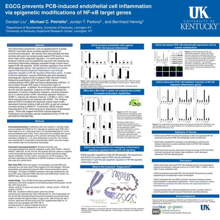EGCG protects endothelial cells against PCB 126-induced inflammation
