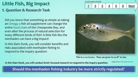 Little Fish, Big Impact 1. Question & Research Task