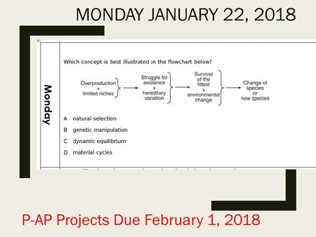 Monday January 22, 2018 P-AP Projects Due February 1, 2018.