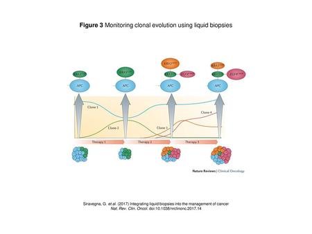 Figure 3 Monitoring clonal evolution using liquid biopsies