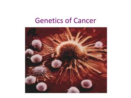 Genetics of Cancer.