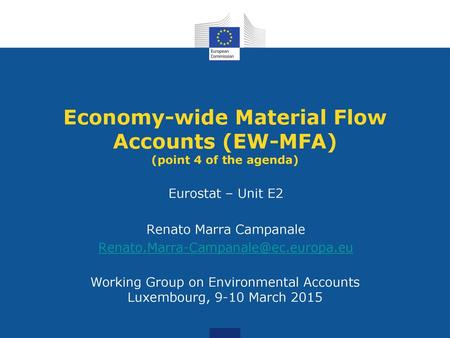 Economy-wide Material Flow Accounts (EW-MFA) (point 4 of the agenda)