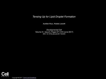 Tensing Up for Lipid Droplet Formation