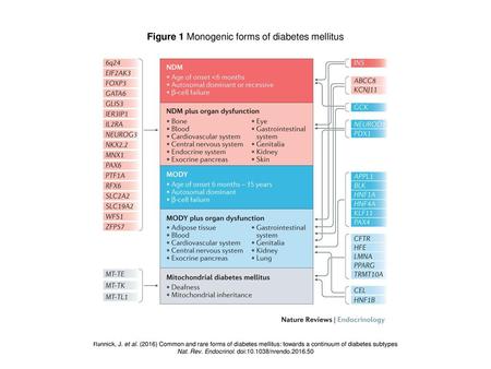 Figure 1 Monogenic forms of diabetes mellitus