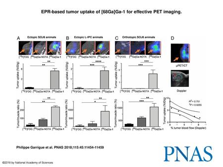 EPR-based tumor uptake of [68Ga]Ga-1 for effective PET imaging.