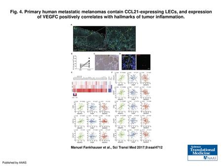 Fig. 4. Primary human metastatic melanomas contain CCL21-expressing LECs, and expression of VEGFC positively correlates with hallmarks of tumor inflammation.