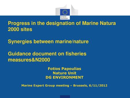 Marine Expert Group meeting – Brussels, 6/11/2012