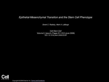 Epithelial-Mesenchymal Transition and the Stem Cell Phenotype