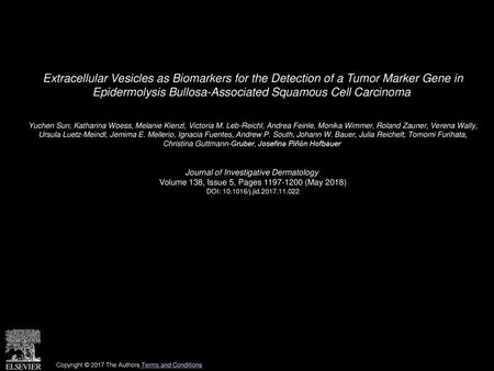 Extracellular Vesicles as Biomarkers for the Detection of a Tumor Marker Gene in Epidermolysis Bullosa-Associated Squamous Cell Carcinoma  Yuchen Sun,
