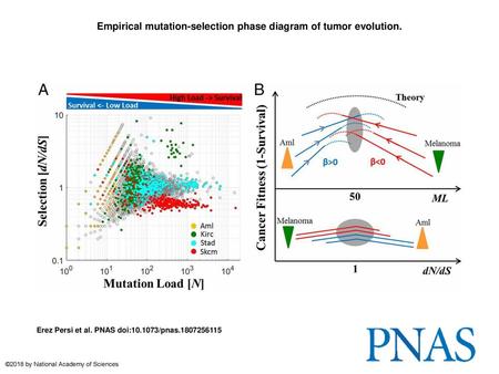 Empirical mutation-selection phase diagram of tumor evolution.