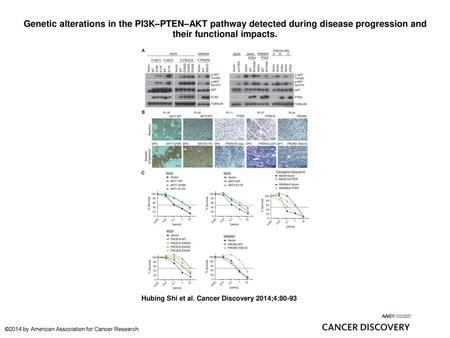 Genetic alterations in the PI3K–PTEN–AKT pathway detected during disease progression and their functional impacts. Genetic alterations in the PI3K–PTEN–AKT.