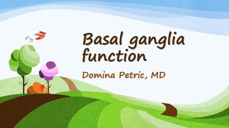 Basal ganglia function