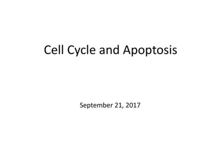Cell Cycle and Apoptosis