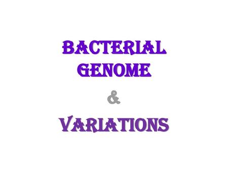 Bacterial Genome & Variations