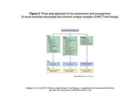 Figure 2 Three-step approach to the assessment and management