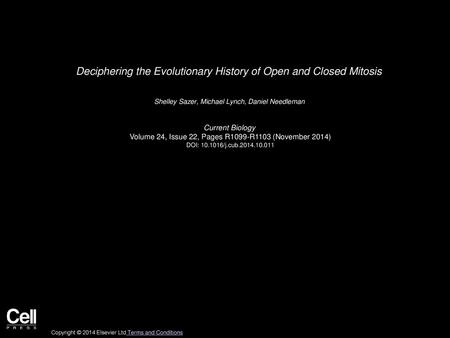Deciphering the Evolutionary History of Open and Closed Mitosis