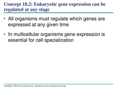 Concept 18.2: Eukaryotic gene expression can be regulated at any stage