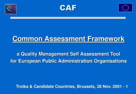 CAF Common Assessment Framework