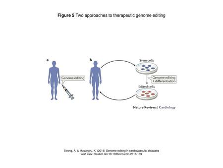 Figure 5 Two approaches to therapeutic genome editing