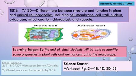 Wednesday February 21, 2018 TEKS: 7.12D—Differentiate between structure and function in plant and animal cell organelles, including cell membrane, cell.