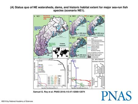 (A) Status quo of NE watersheds, dams, and historic habitat extent for major sea-run fish species (scenario NE1). (A) Status quo of NE watersheds, dams,