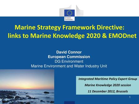 Integrated Maritime Policy Expert Group Marine Knowledge 2020 session