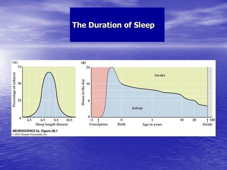 The Duration of Sleep.