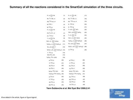 Summary of all the reactions considered in the SmartCell simulation of the three circuits. Summary of all the reactions considered in the SmartCell simulation.