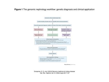Figure 1 The genomic nephrology workflow: genetic diagnosis and clinical application Figure 1 |The genomic nephrology workflow: genetic diagnosis and clinical.