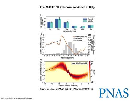 The 2009 H1N1 influenza pandemic in Italy.