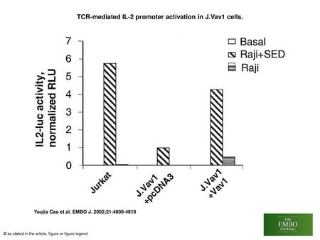 TCR‐mediated IL‐2 promoter activation in J.Vav1 cells.