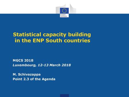 Statistical capacity building in the ENP South countries