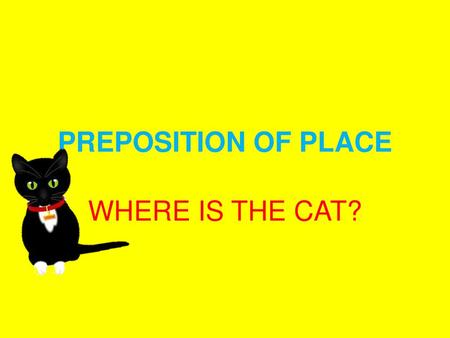 PREPOSITION OF PLACE WHERE IS THE CAT?.