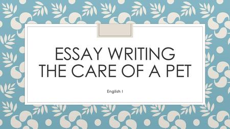 Essay Writing The Care of a Pet