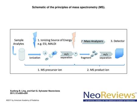 Schematic of the principles of mass spectrometry (MS).