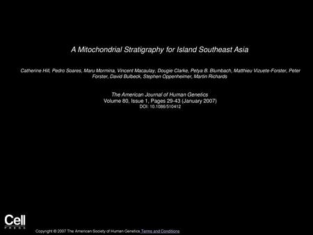 A Mitochondrial Stratigraphy for Island Southeast Asia