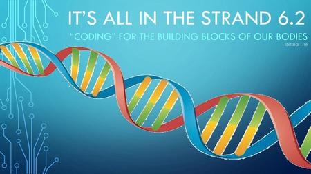 “Coding” for the building blocks of our bodies Edited