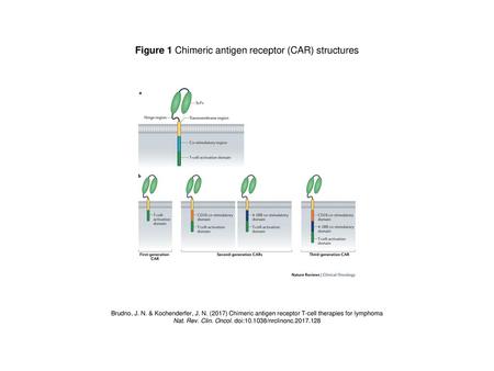Figure 1 Chimeric antigen receptor (CAR) structures